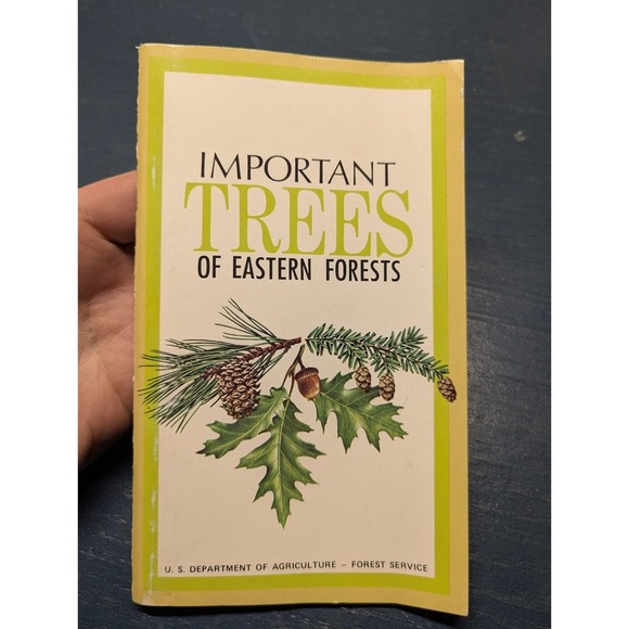 Important Trees Eastern Forests US Department Agriculture Rebecca Merrilee - Picture 1 of 7